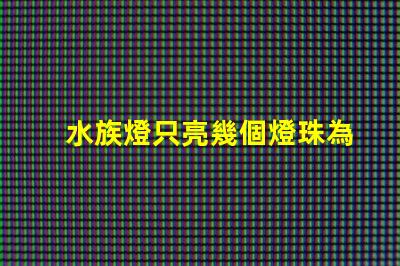 水族燈只亮幾個燈珠為什么 水族燈什么牌子好